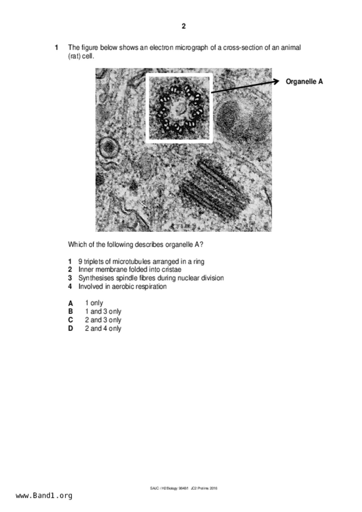 JC2Biology試卷