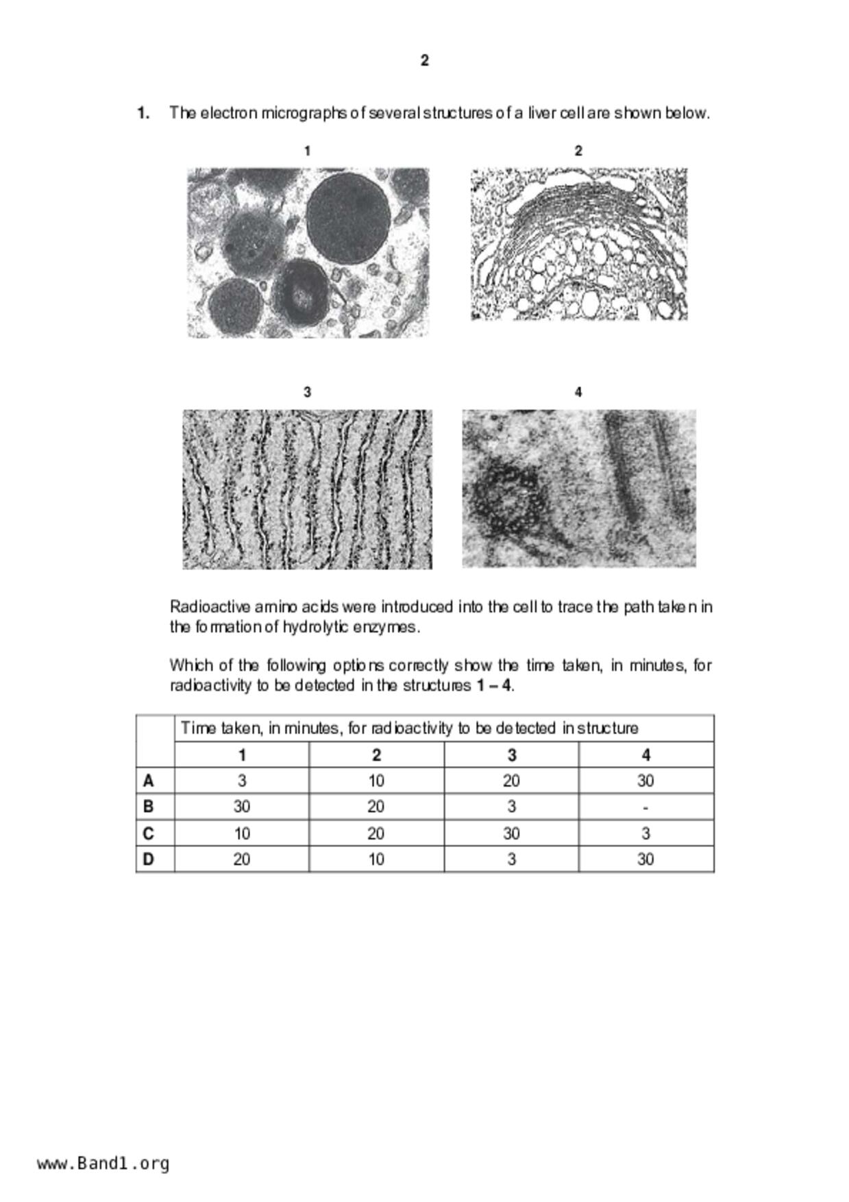 JC2Biology試卷