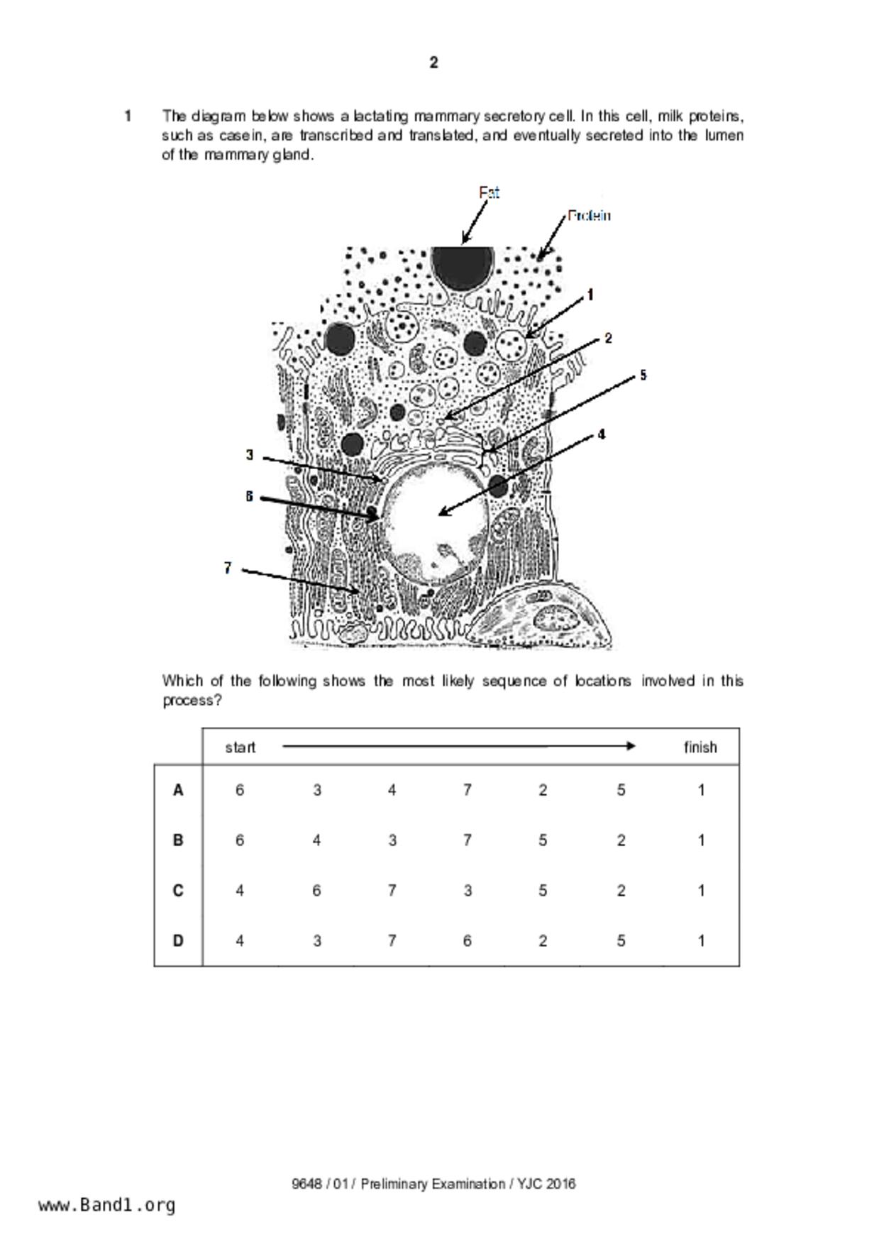 JC2Biology試卷