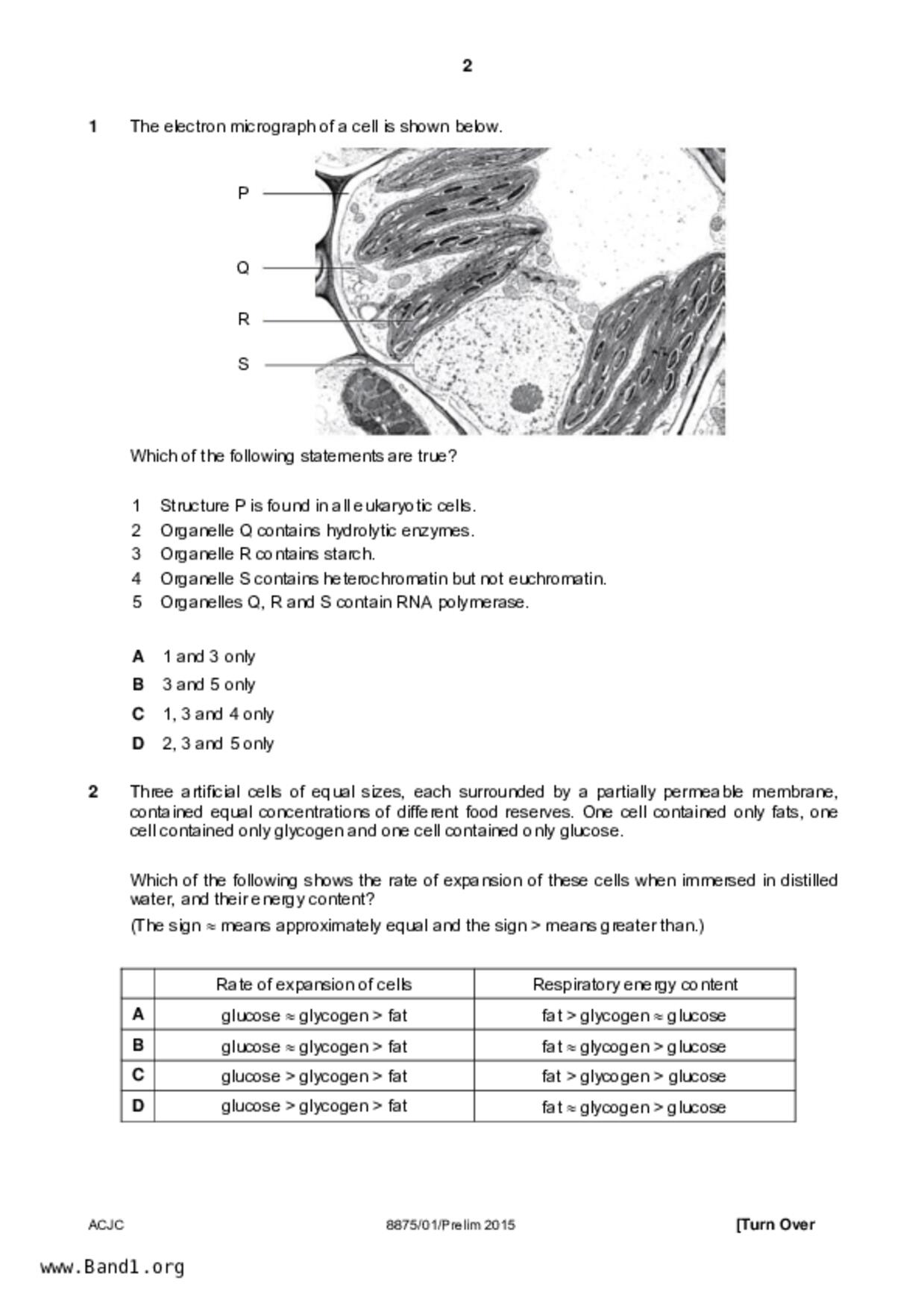 JC2Biology試卷