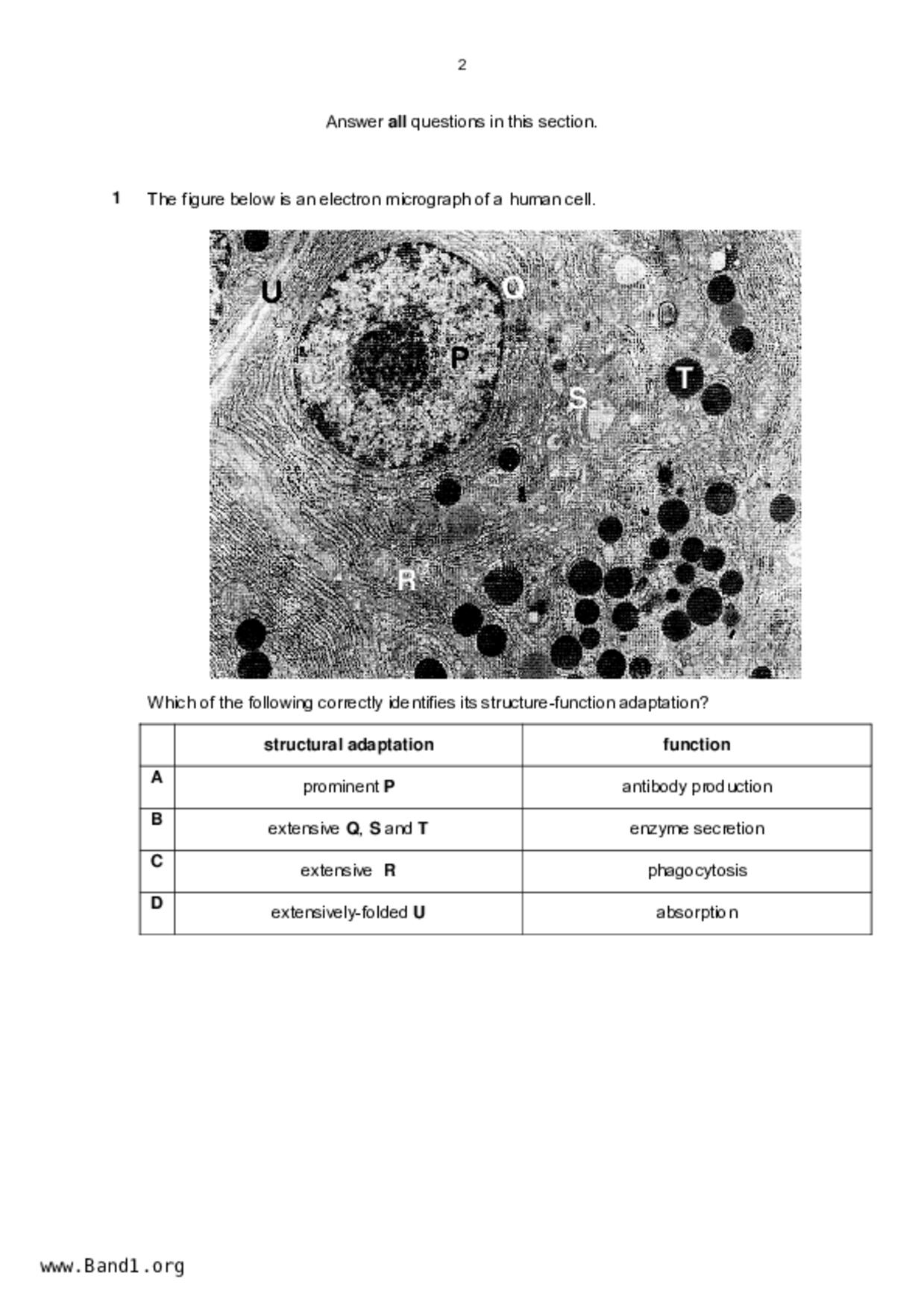 JC2Biology試卷