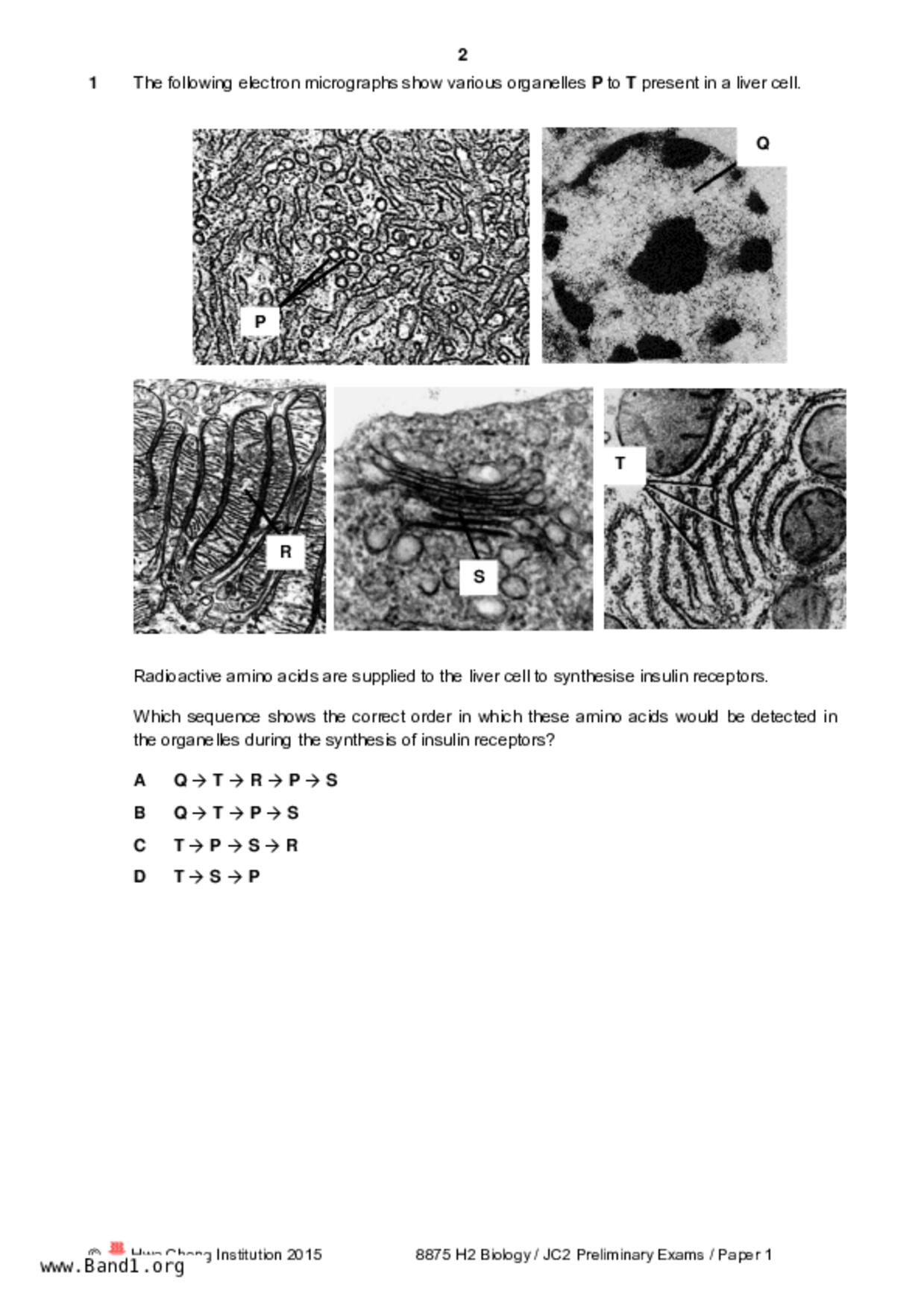 JC2Biology試卷