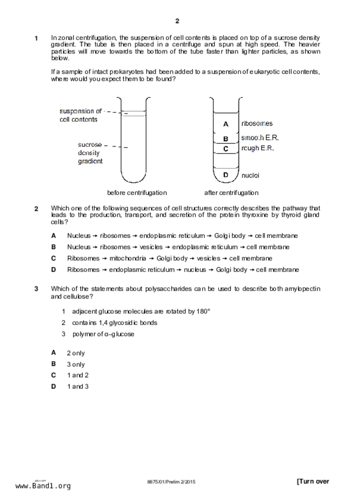JC2Biology試卷