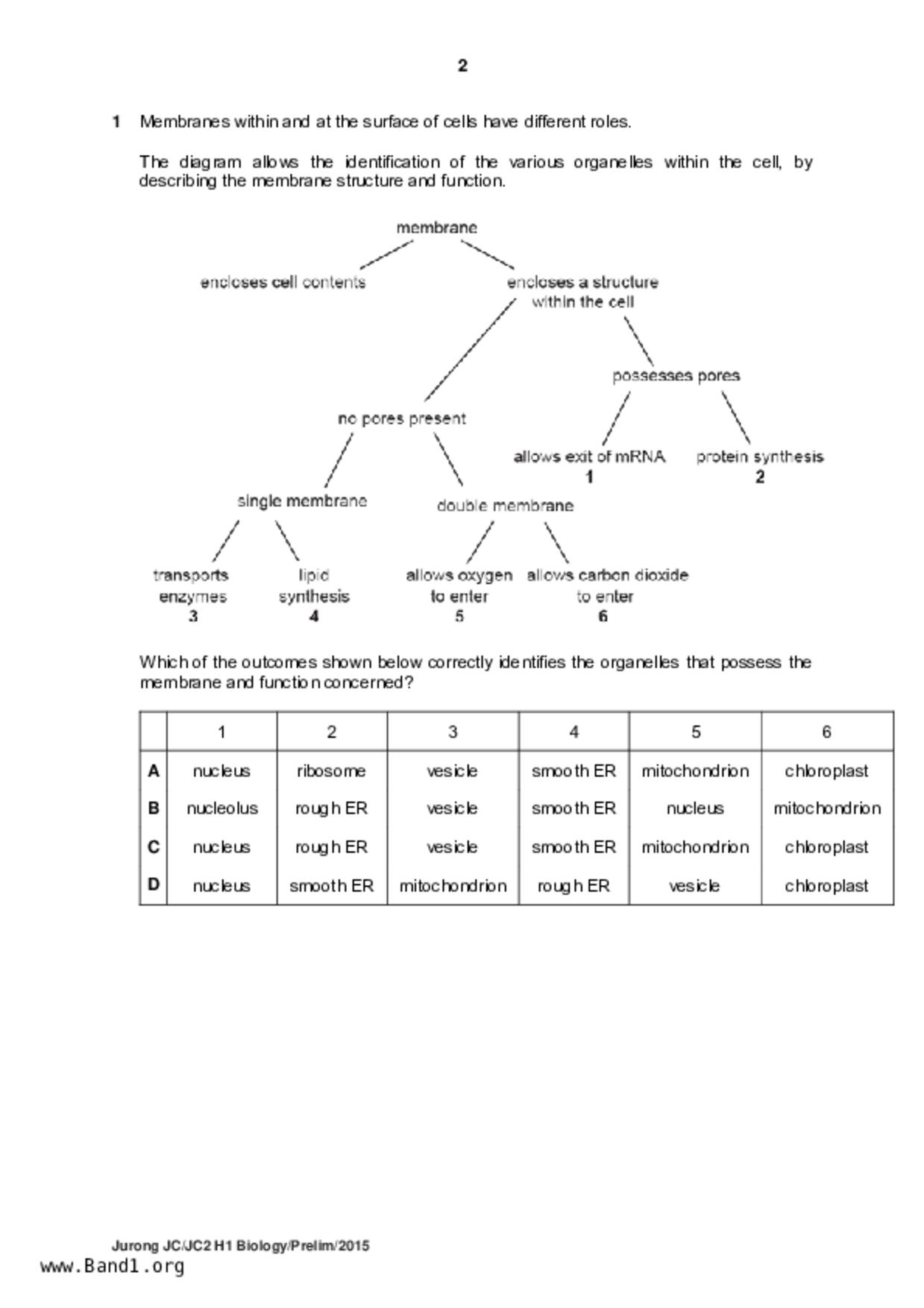 JC2Biology試卷