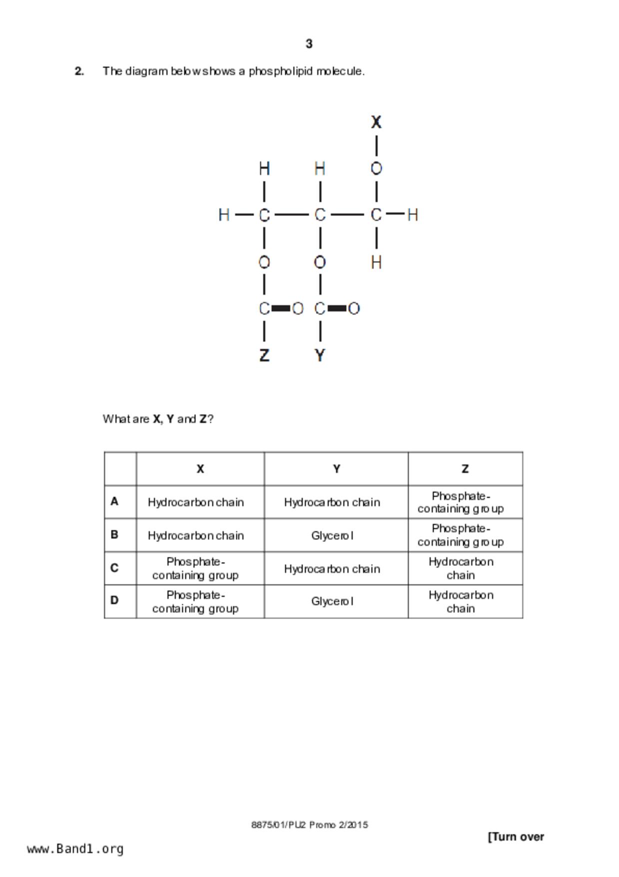 JC2Biology試卷