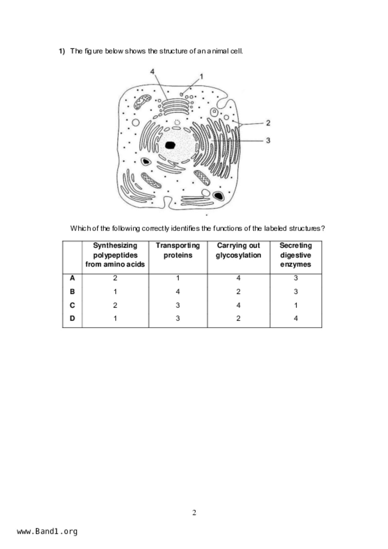 JC2Biology試卷