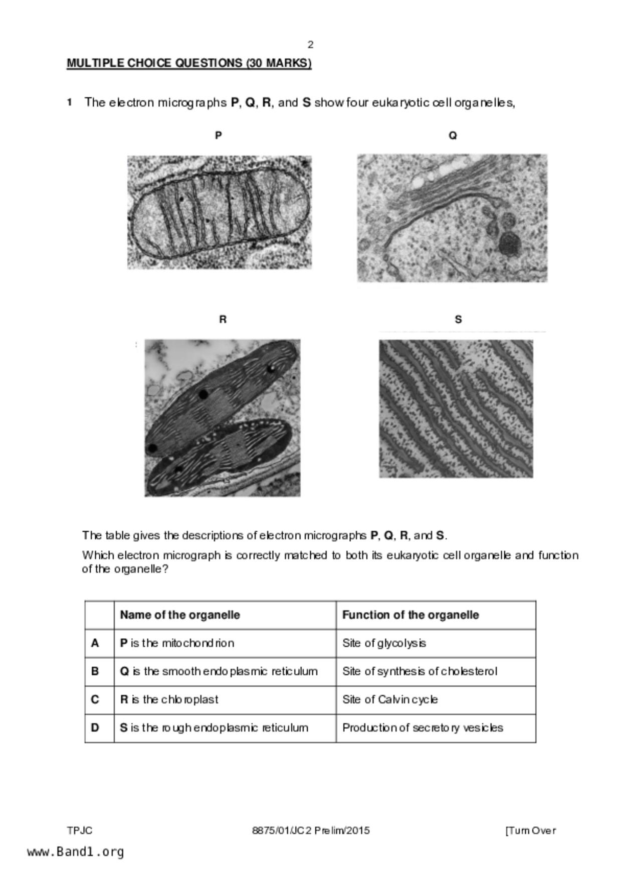 JC2Biology試卷