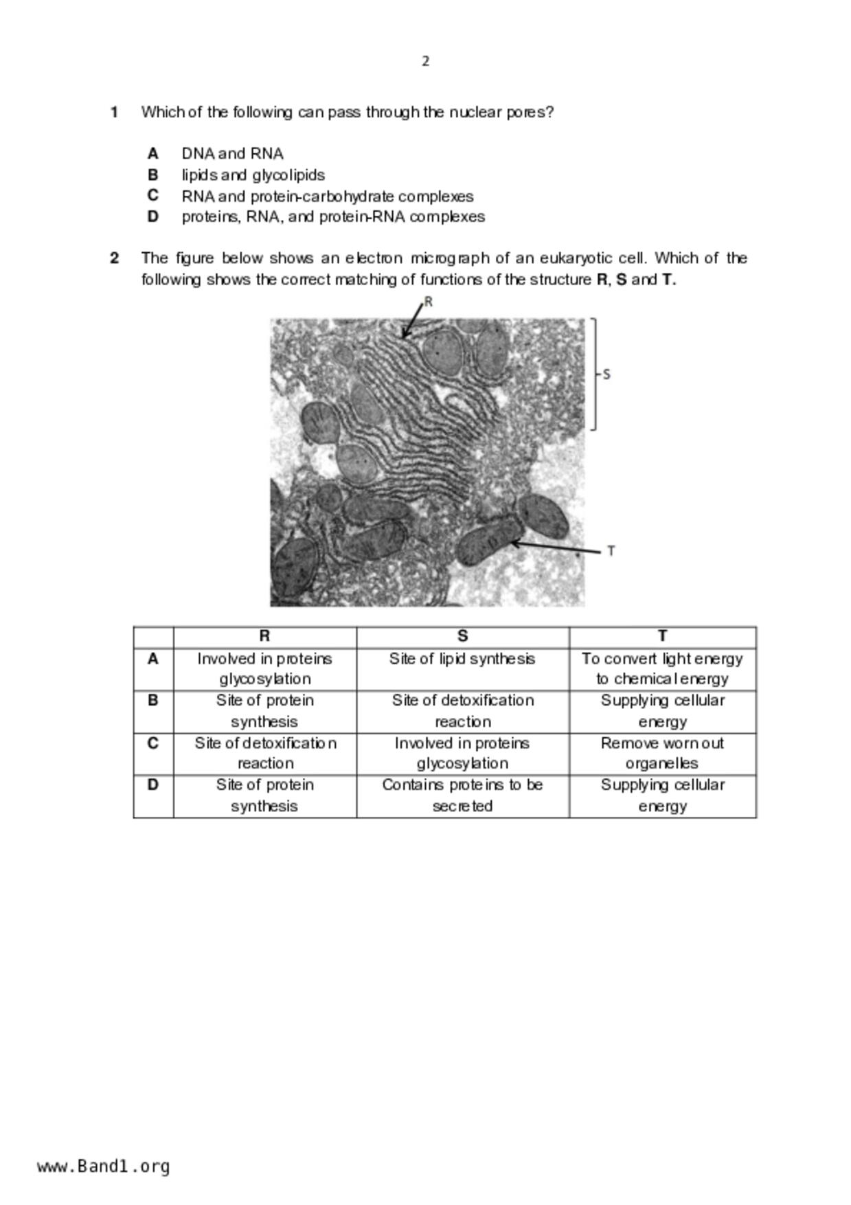 JC2Biology試卷