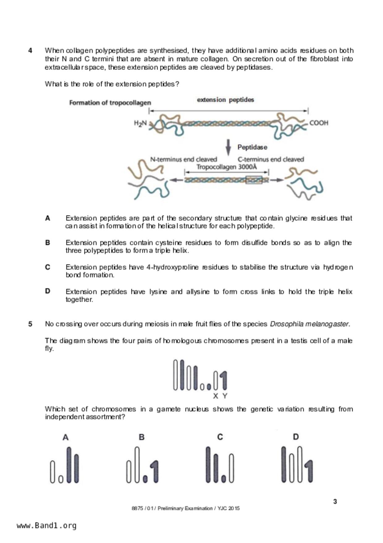 JC2Biology試卷