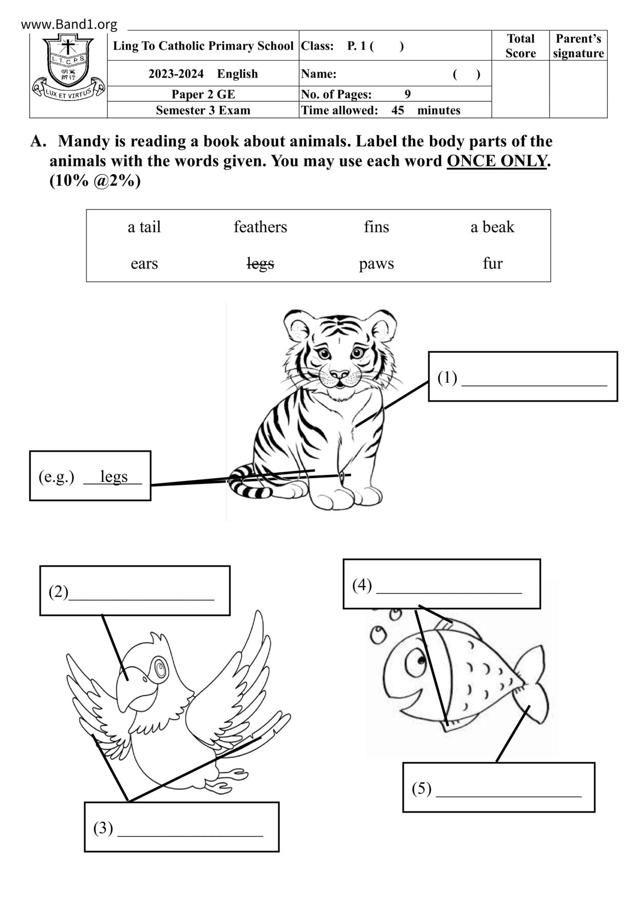 P1English試卷